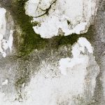 Elimina la muffa: Una guida completa